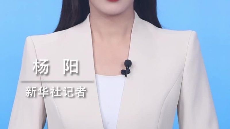 企业搜索数据库索引哪家好？揭秘高效搜索背后的关键技术